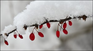 Neujahrsvorsätze und Rauhnächte