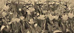 Schwäche als Ressoruce 1