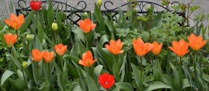 Schwäche als Ressoruce 2